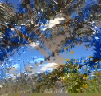 Euroa Arboretum - Accommodation Perth