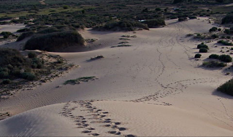 Foreshore Walk, Mungo National Park - Accommodation Perth 0
