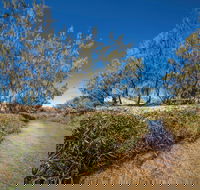 Freshwater Creek Track Byfield National Park - Perth Resorts