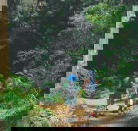 Gloucester National Park - Accommodation Perth