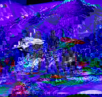 Glowing Rooms 3D Mini Golf - Accommodation Perth