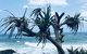 Hastings Point Beach - thumb 0