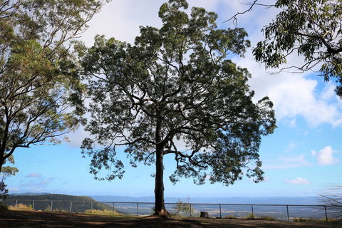 Heaton State Forest - Watagan Mountains - Perth Resorts 2