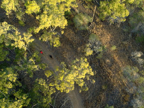 Hillview Drive Reserve - Accommodation Perth 2