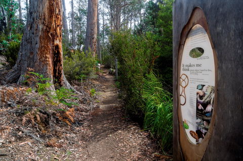 Lake St Clair (Cradle Mountain  - Lake St Clair National Park) - Accommodation Perth 2