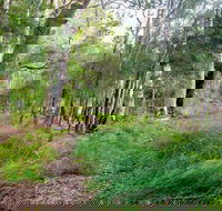 Meroo Lake walking track - Accommodation Perth