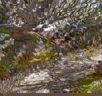 Middle Lagoon Walking Track - Accommodation Perth