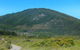 Monument Hill Walking Track - thumb 0