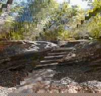 Mooney Mooney nature walk - Accommodation Perth