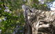 Moore Park Nature Reserve - thumb 0