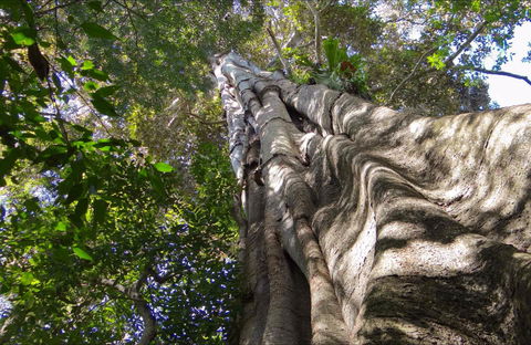 Moore Park Nature Reserve - Accommodation Perth 0