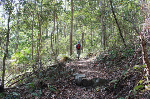 Morelia Walking Track, D'Aguilar National Park - Perth Resorts 1