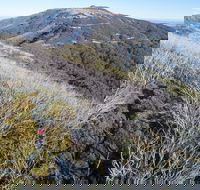 Mt Buller Bike Park - Accommodation Perth