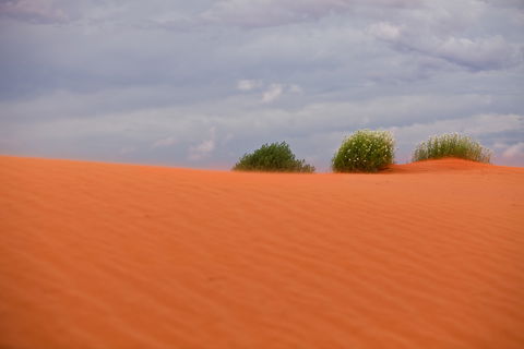 Munga-Thirri - Simpson Desert Conservation Park And Regional Reserve - Accommodation Perth 0