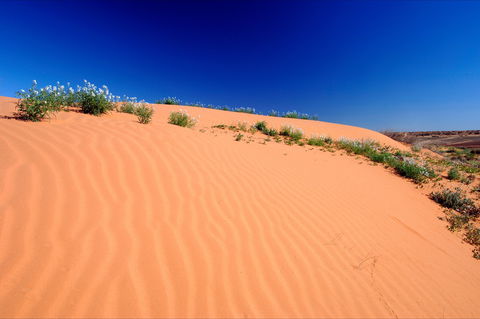 Munga-Thirri - Simpson Desert Conservation Park And Regional Reserve - Accommodation Perth 1