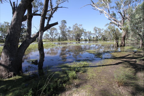 North Western Fishing Trail - Accommodation Perth 2