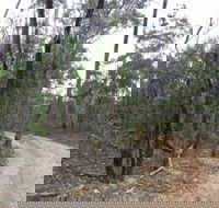 Paddys Ranges State Park - Accommodation Perth