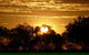 Paroo-Darling National Park - thumb 0