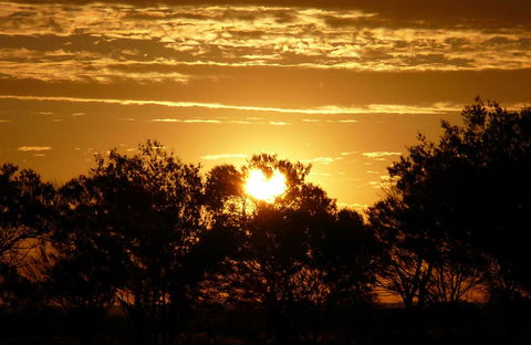 Paroo-Darling National Park - Accommodation Perth 0