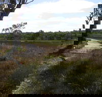 Penola Conservation Park - Accommodation Perth