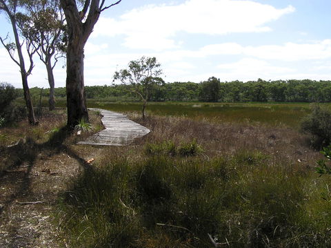 Penola Conservation Park - Accommodation Perth 0