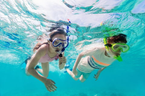 Snorkel Hat Head Creek - Accommodation Perth 0