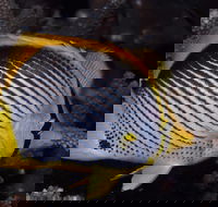 Spiders Ledge - Accommodation Perth