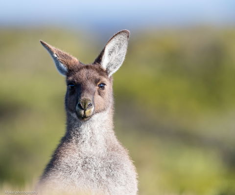 The Sole Walk At Hillocks Drive - Accommodation Perth 1