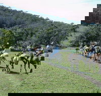 Timbertops - Horse Riding - Accommodation Perth
