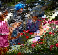 Victoria State Rose Garden at Werribee Park - Perth Resorts