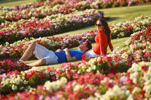 Victoria State Rose Garden At Werribee Park - Accommodation Perth 1