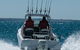 Western Port - thumb 1