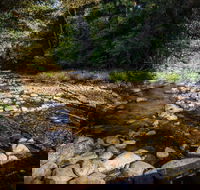 Wilson River picnic area - Perth Resorts