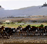 Yangan - Perth Resorts