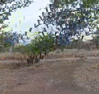 Alexander Forest Memorial - Accommodation Perth