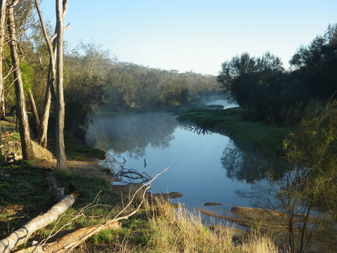 Bilya Walk Track - Accommodation Perth 0