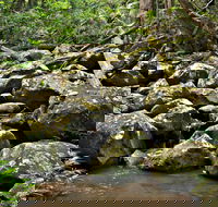 Booyong Walking Track - Accommodation Perth