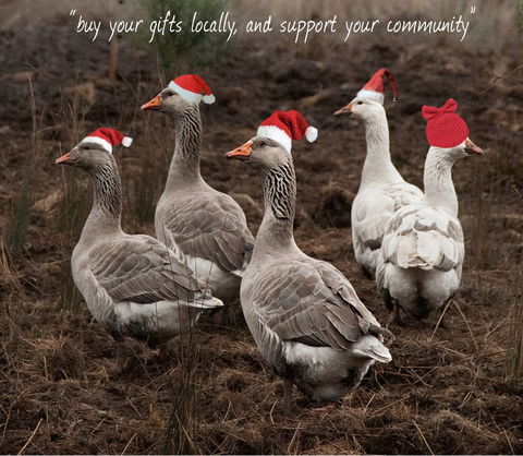 Bream Creek Farmers Market - Accommodation Perth 1