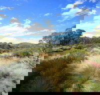 Bullocks walking track - Perth Resorts