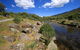 Bullocks Walking Track - thumb 1