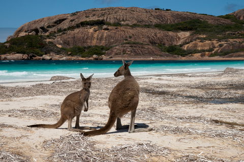 Cape Le Grand National Park - Accommodation Perth 0
