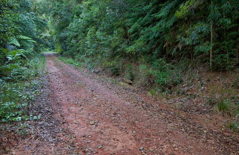Cascade Mountain Bike Trail - Accommodation Perth 0
