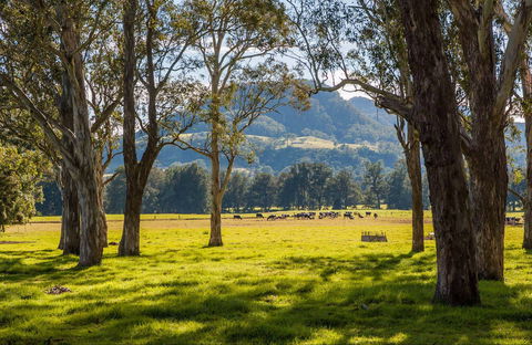 Coast To The Highlands Scenic Drive – Kangaroo Valley - Accommodation Perth 0