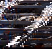 Dalby - Accommodation Perth