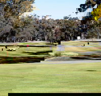 Deniliquin Golf Club - Accommodation Perth