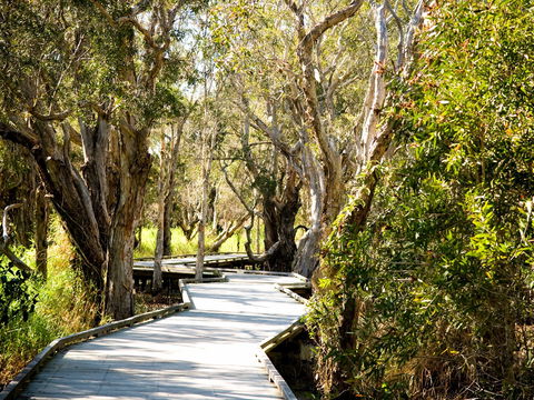 Eagleby Wetlands - Accommodation Perth 1
