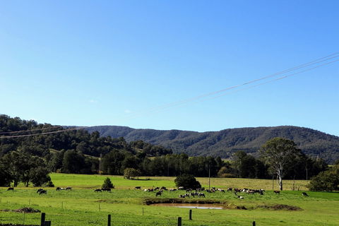 Farm Visit  Dungog - Accommodation Perth 1