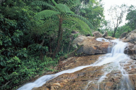 Finch Hatton - Accommodation Perth 0