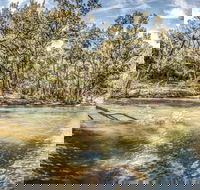 Flea Creek Picnic Area - Accommodation Perth
