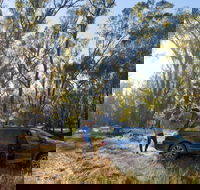 Forest Drive Murrumbidgee Valley National Park - Accommodation Perth